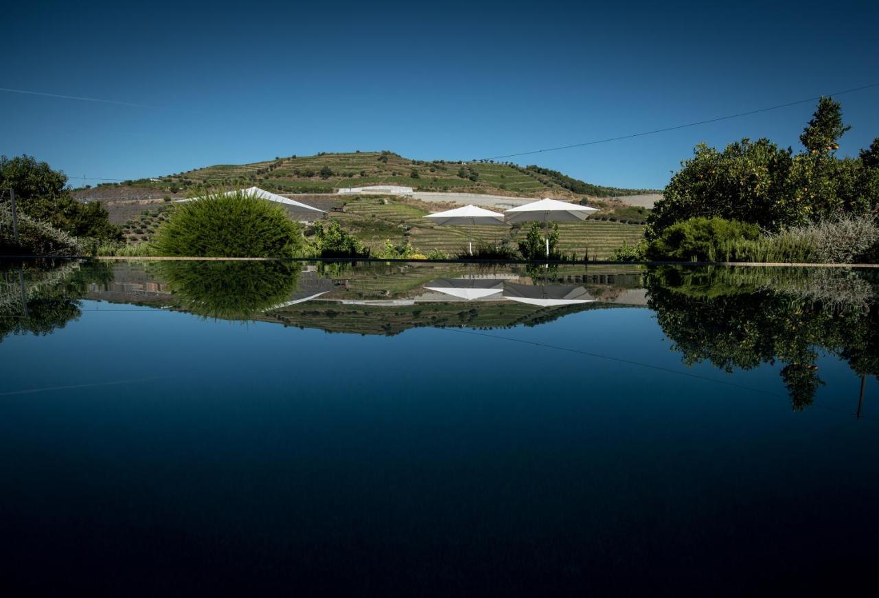 Quinta Do Vallado - Douro Wine Gasthuis