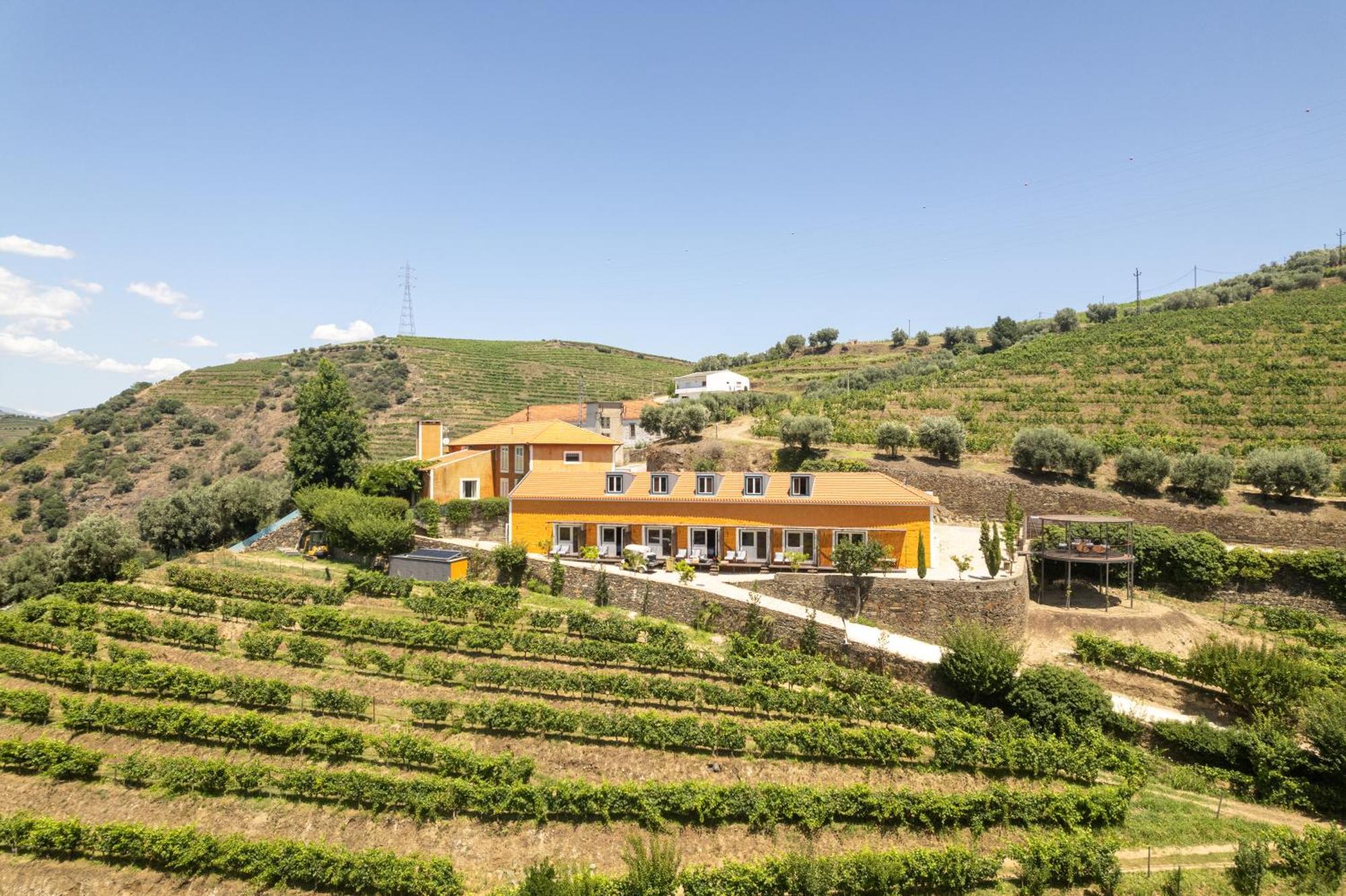 Gasthuis Quinta Do Vallado - Douro Wine
