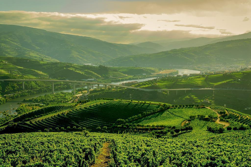 Quinta Do Vallado - Douro Wine 4* Peso da Régua