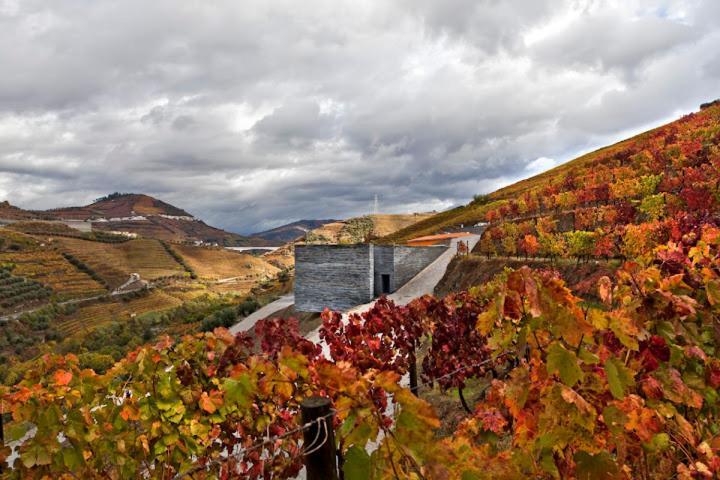Quinta Do Vallado - Douro Wine