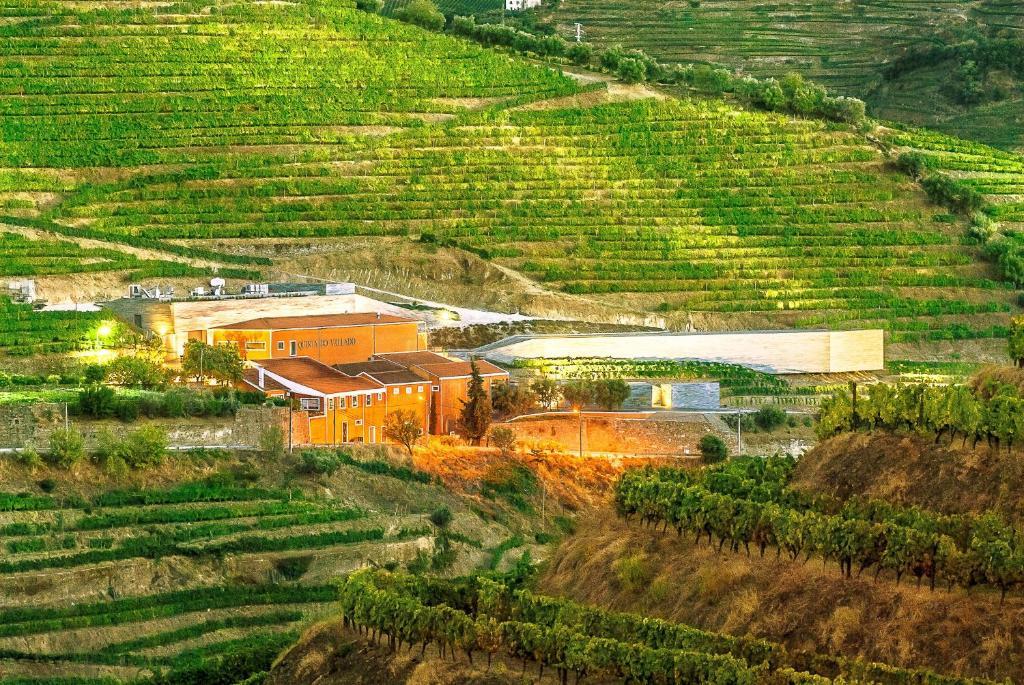 Quinta Do Vallado - Douro Wine